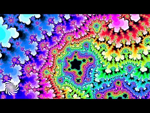 Shotu - Jungle Expedition