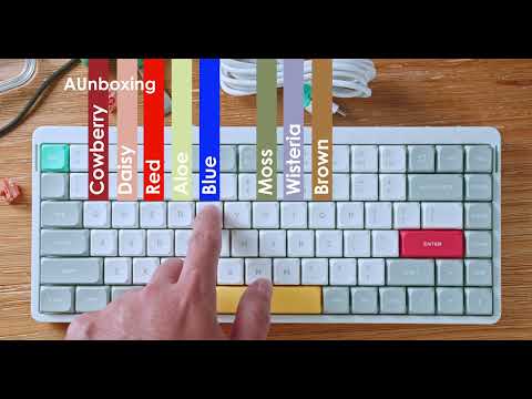 V2 As Requested | NuPhy Air75 V2 switch test | ASMR