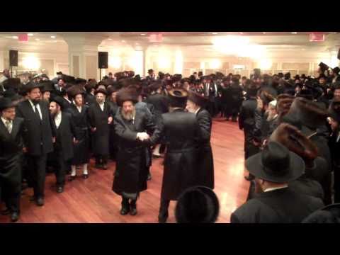 Sadigura  Ropshitz  Wedding