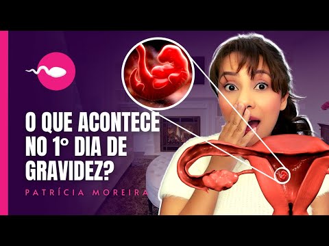 O QUE ACONTECE NO PRIMEIRO DIA DE GRAVIDEZ? Boa Gravidez
