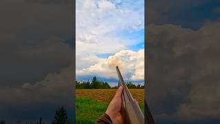 Dove hunting a small feild!!! Check out my full video on my channel!!!#a5 #dove #doveseason