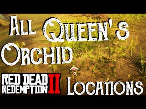 Rdr2 Queens Orchid