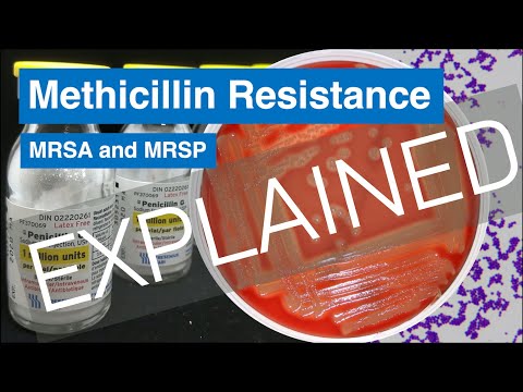 MRSA - What You NEED to Know!