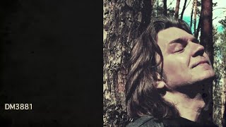 Дмитрий Маликов - Песня о далекой Родине