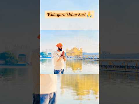 Golden Temple Amritsar 🙏✨ | Harmandir sahib|#goldentemple #harmandirsahib #waheguru #shorts #viral