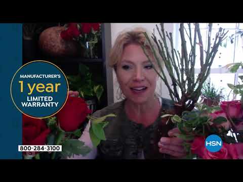 HSN | Welcome Home with Alyce 05.19.2020 - 11 AM