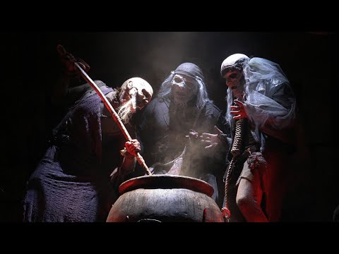 Special Feature: The Weird Sisters