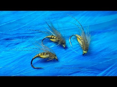 Quilled Caddis Pupa
