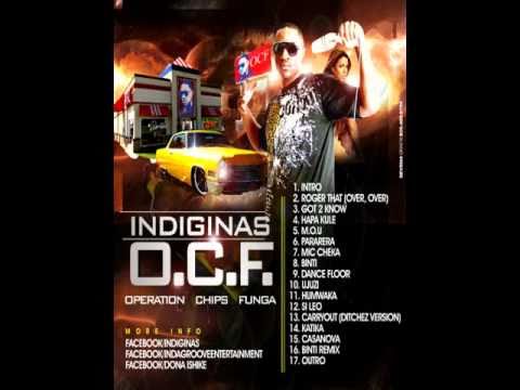 INDIGINAS FEAT WYRE - U GOT 2 KNOW