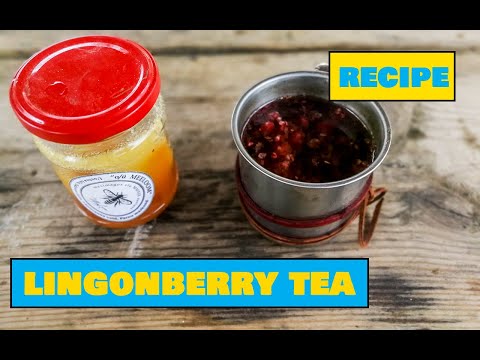 How to Make Lingonberry Tea - Easy Outdoors Drinks