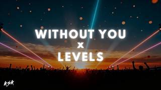 Download lagu Without You X Levels (KSK Mashup) [TikTok] mp3