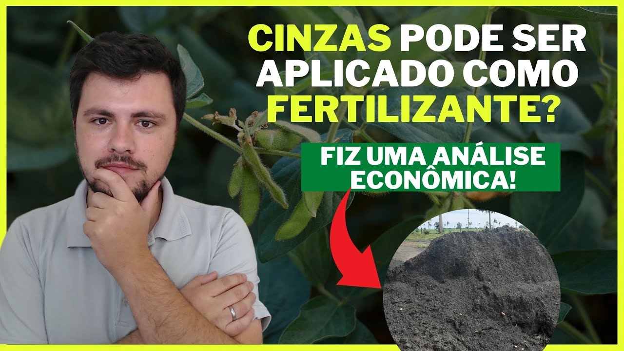 CINZAS é um bom fertilizante? Vale a pena utilizar na lavoura? Veja isso