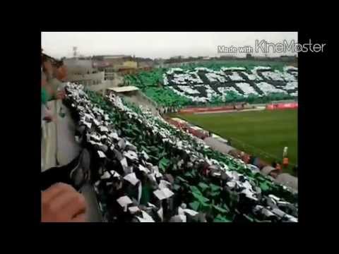 Omonoia Nicosia| Ultras World