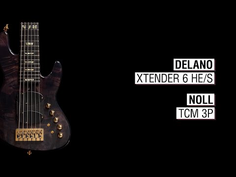 Delano Xtender 6 HE/S + Noll TCM 3P - Maruszczyk Elwood L6a-24