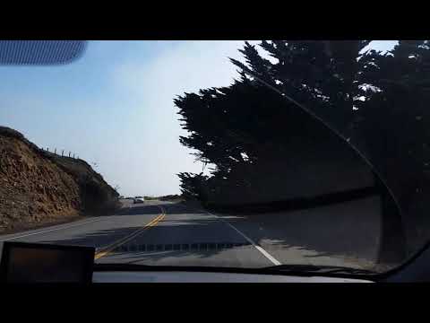 The Beach Boys - Feel Flows (Big Sur) 2016