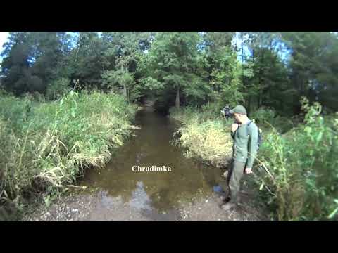 Чехія: Пардубицький край. Шлях областю пішого туризму Сеч від руїн замку Огеб до броду на Хрудімці.