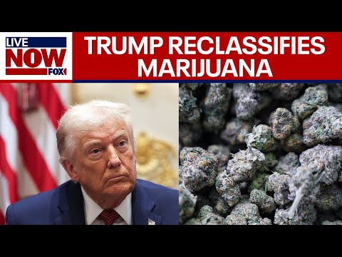 Trump signs executive order reclassifying marijuana