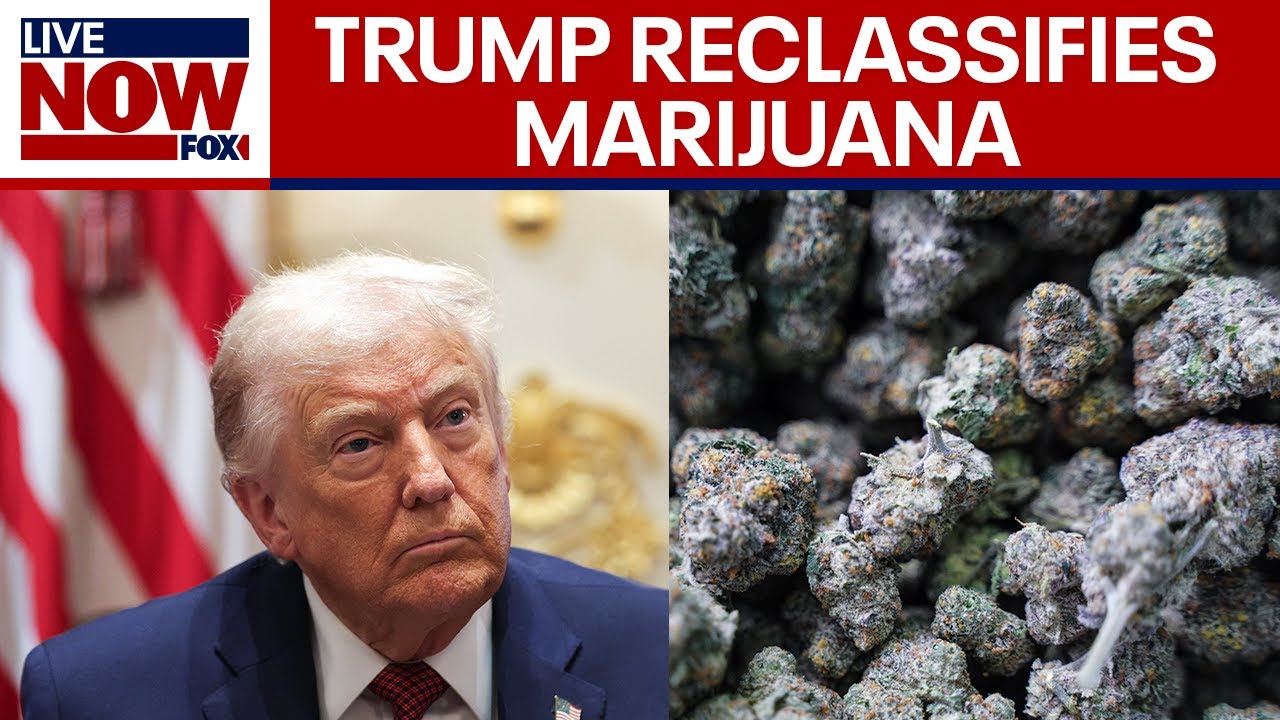 Trump signs executive order reclassifying marijuana