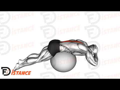 Exercice Extension du dos sur ballon (Swiss Ball)