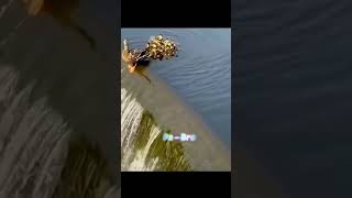 Mother love short story♥️✨💗