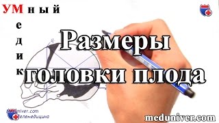 Подробная информация об объекте