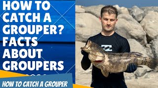 Fishing in Abu Dhabi | Facts about groupers |Fresh fish for dinner &amp; give away