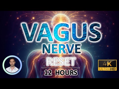Vagus Nerve Stimulation | Deep Nervous System Reset for Deep Sleep | 12 Hours