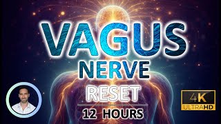 Vagus Nerve Stimulation | Deep Nervous System Reset for Deep Sleep | 12 Hours