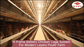 Download lagu H Frame Battery Chicken Cage System For Modern Commercial Poultry Layers Farm 🐓 With 50,000 Birds mp3