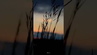 Download lagu Saanson Mein Badi Bekarari | Do Dil Mil Rahe Hain Magar Chupke Chupke | Pardes | Bollywood 90s Songs mp3 Download lagu Saanson Mein Badi Bekarari | Do Dil Mil Rahe Hain Magar Chupke Chupke | Pardes | Bollywood 90s Songs mp3