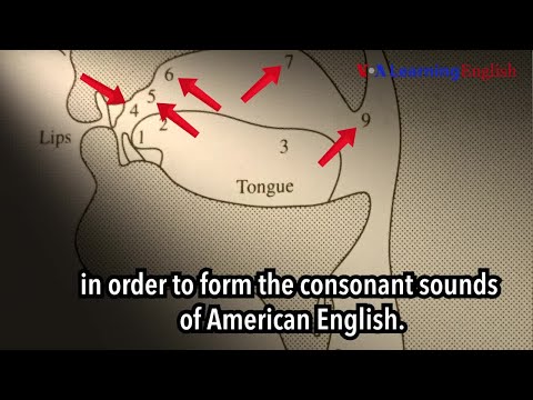 発音の仕方。唇を使った音 (How to Pronounce: Sounds made with lips)