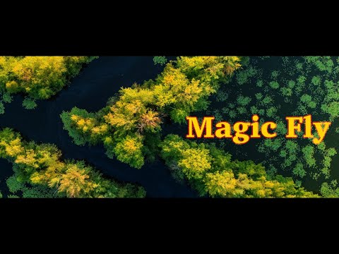 Alexander Metzger - Magic Fly (Ambient Mix) Butcher Music