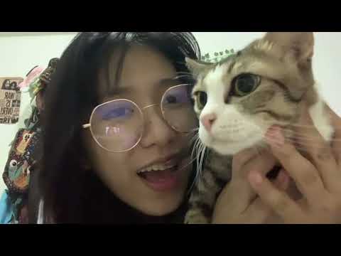 Ivoris - Honeysea (cover) by.ARRADA