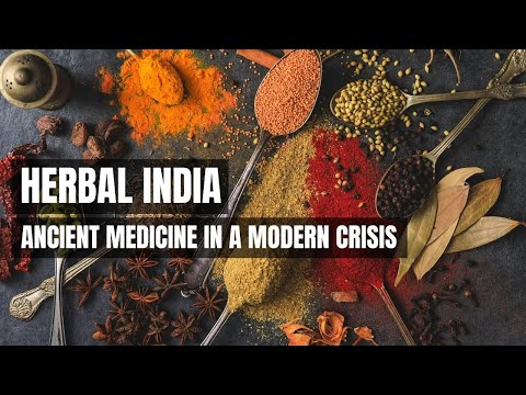 Le monde secret des herbes en Inde | myDocumentary