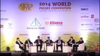 White/Black/Speckled/Red/Fava Beans