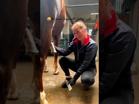 this woman hold on stud