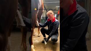 this woman hold on stud