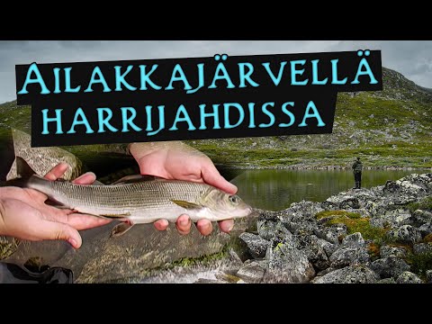 Ailakkajärvellä harrijahdissa 2009