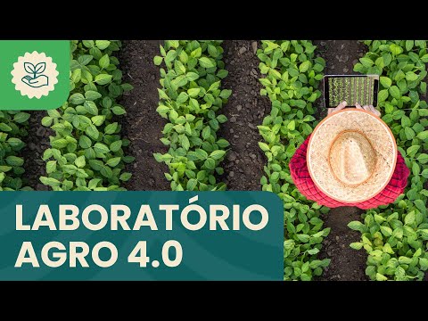 Agro 4.0 | Tecnologia e sustentabilidade para impulsionar o agro do Tocantins