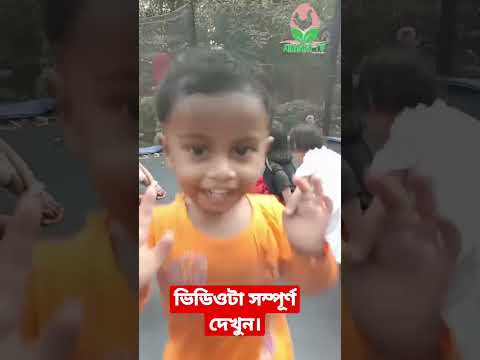 ছোট ছোট বাচ্চাদের খেলা।