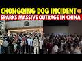 “Some People Worse Than Dogs” Chongqing Incident Sparks Massive Outrage in China
