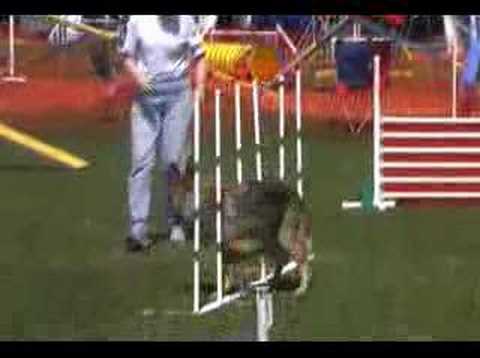 Yasko  Novice Standard 4/19/08