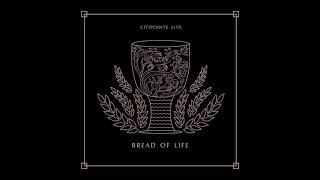 Bread of Life (Easter Single) - Citipointe Live (Official)