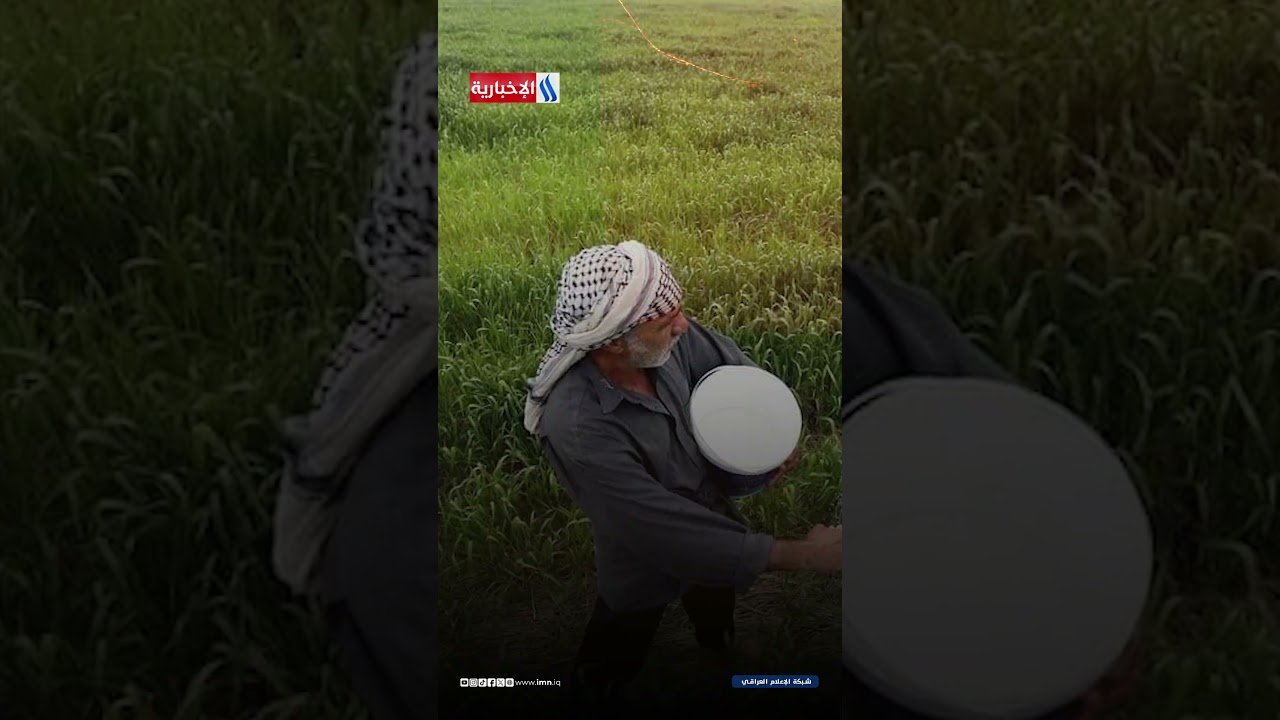 فيديو | صيف حاسم للزراعة.. المياه ترسم خريطة المحاصيل