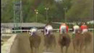 preview picture of video 'A Trip to Suffolk Downs'
