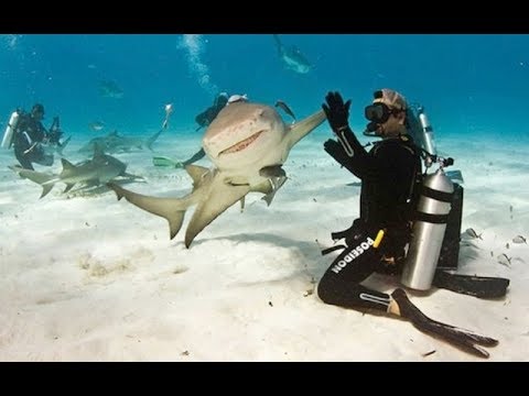 30 Perfectly Timed Coincidences Caught On Camera