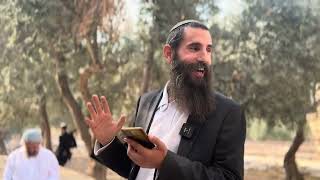 תשובתו המופלאה של הרדב"ז על הכניסה להר הבית עד סמוך לכיפת הסלע! לכבוד יום פטירתו | הרב אלישע וולפסון (ישיבת הר הבית) - התמונה מוצגת ישירות מתוך אתר האינטרנט יוטיוב. זכויות היוצרים בתמונה שייכות ליוצרה. קישור קרדיט למקור התוכן נמצא בתוך דף הסרטון