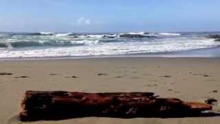 preview picture of video 'The Sea Ranch Life - Stengel Beach'