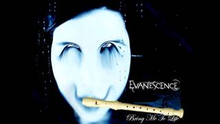 EVANESCENCE | BRING ME TO LIFE (FAIL RECORDER COVER)