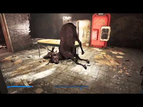 Stay out of the basement